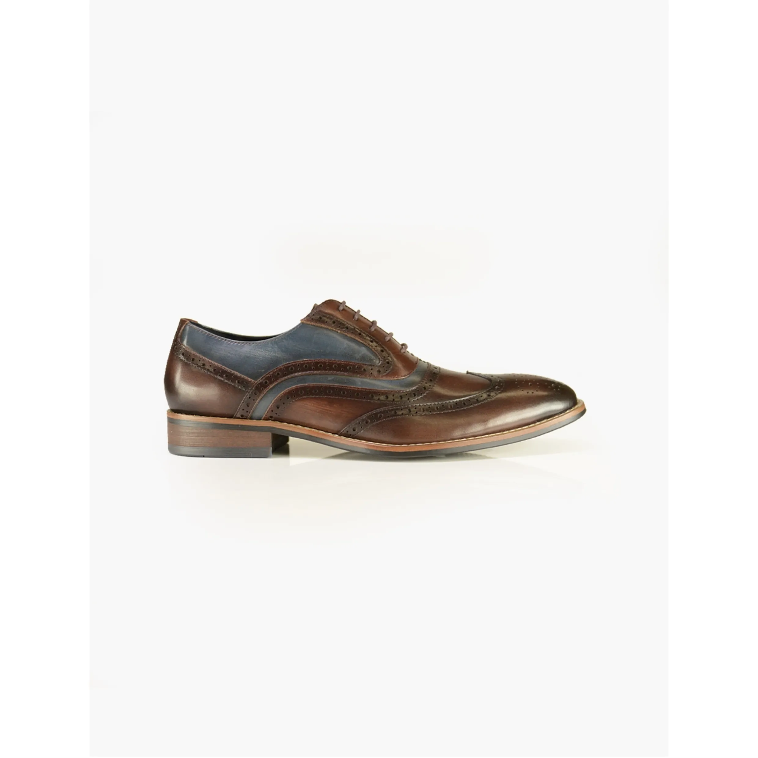 AZOR LA MODE Webster Leather Brogue Shoes Brown/Navy