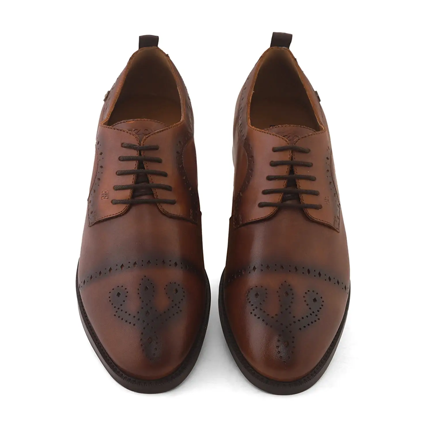 Ezok Men Tan Burnish Finish Perforated Leather Derby Shoes