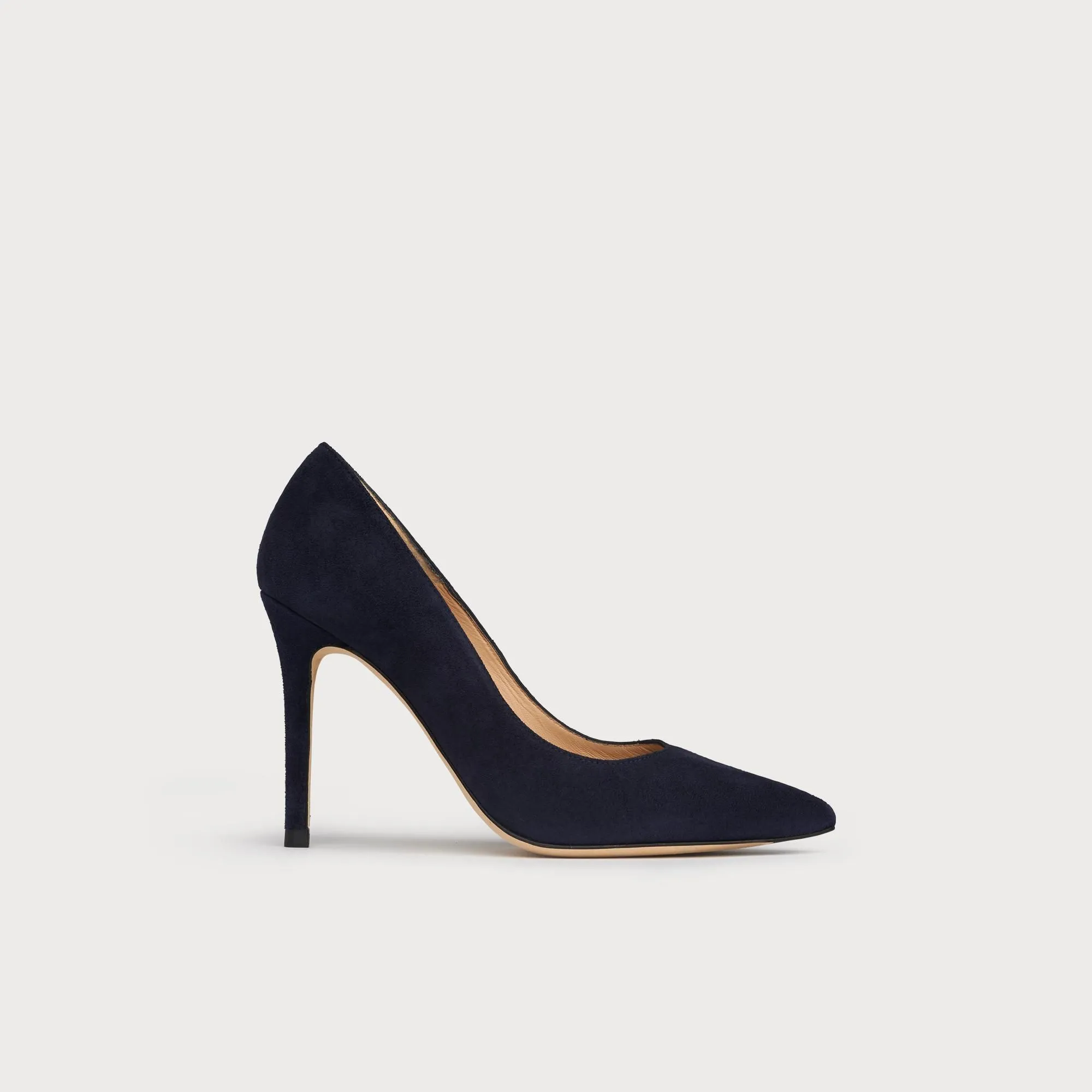 Fern Navy Suede Pointed Toe Courts, Navy Blue