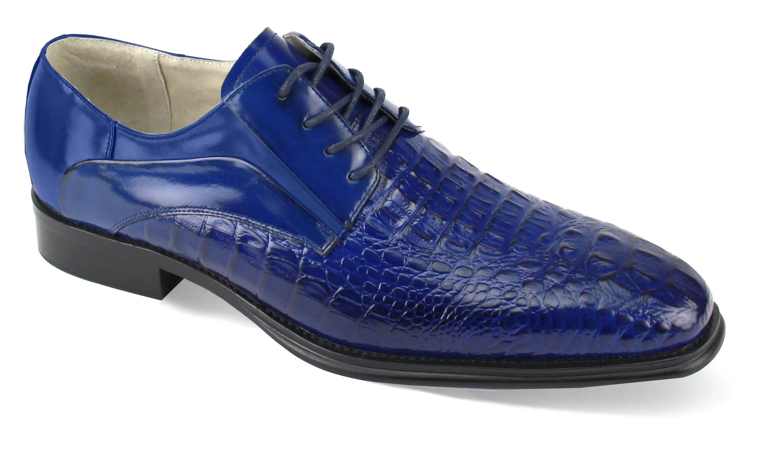 Giovanni Mason Cobalt Leather Shoes